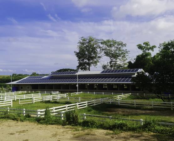 Agricultural & Renewable Energy Leasing