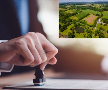 Government Liaisoning