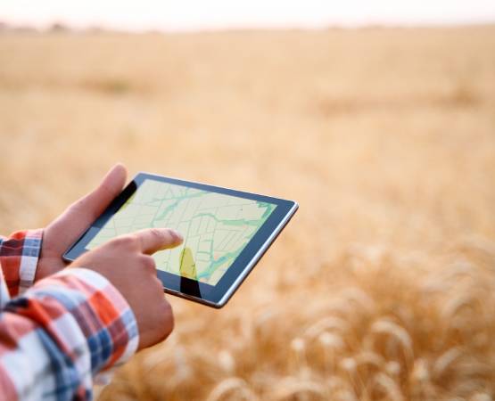 Post-Lease Monitoring & Compliance